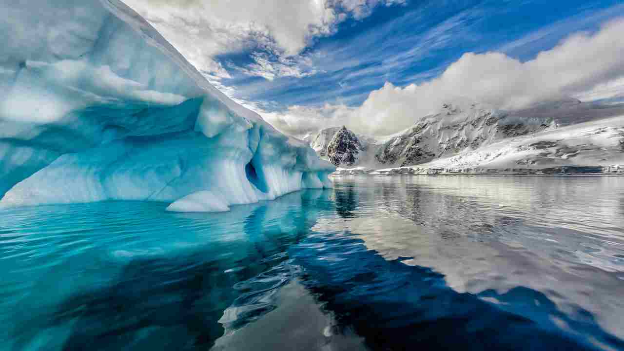 Incredibile ritrovamento in Antartide
