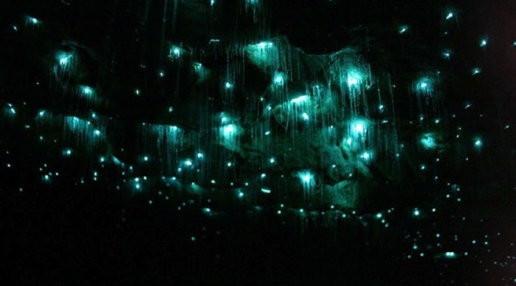 lucciole illuminano grotta