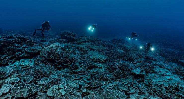 scoperta barriera corallina