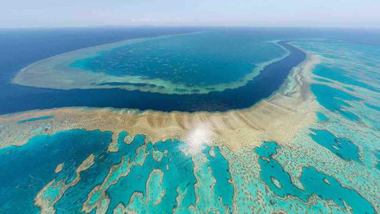 la grande barriera corallina australiana