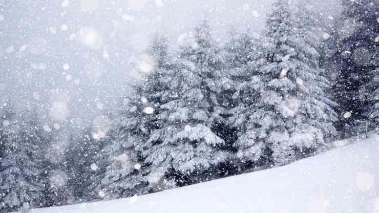 neve con alberi