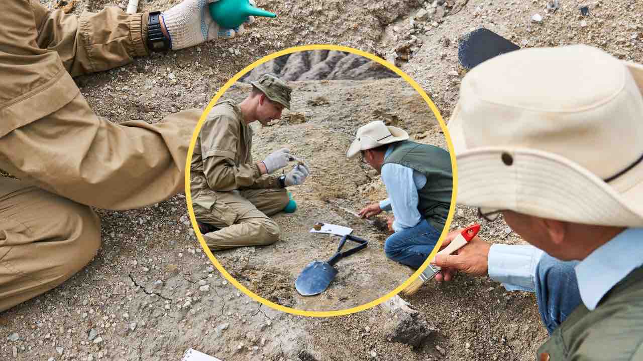 scoperto fossile straordinario