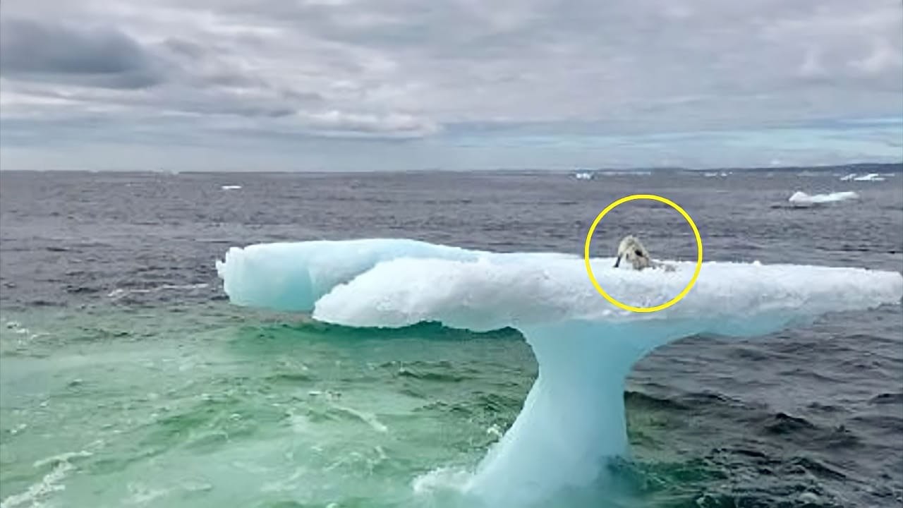 Pescatori sull'iceberg