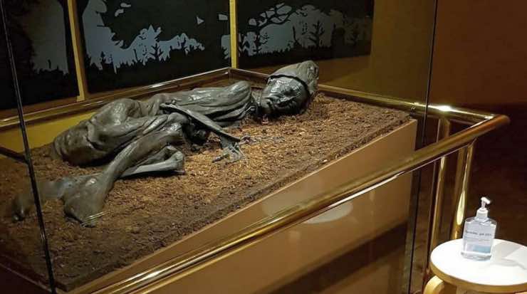 mummia di palude
