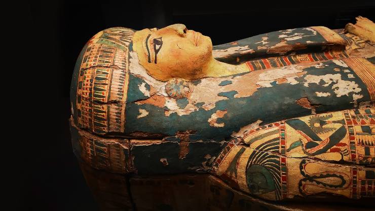 scoperte teste di coccodrillo nelle tombe egizie 