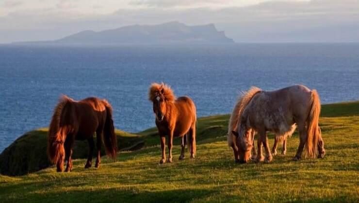 Isole Shetland-viaggi.nanopress.it