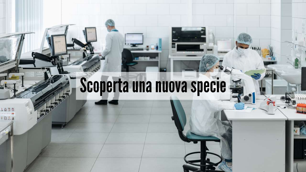 Scienziati scoprono una nuova temibile specie