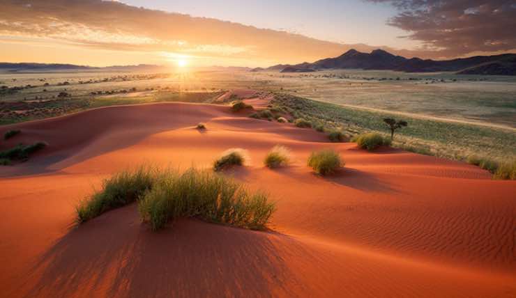sabbia dorata in namibia