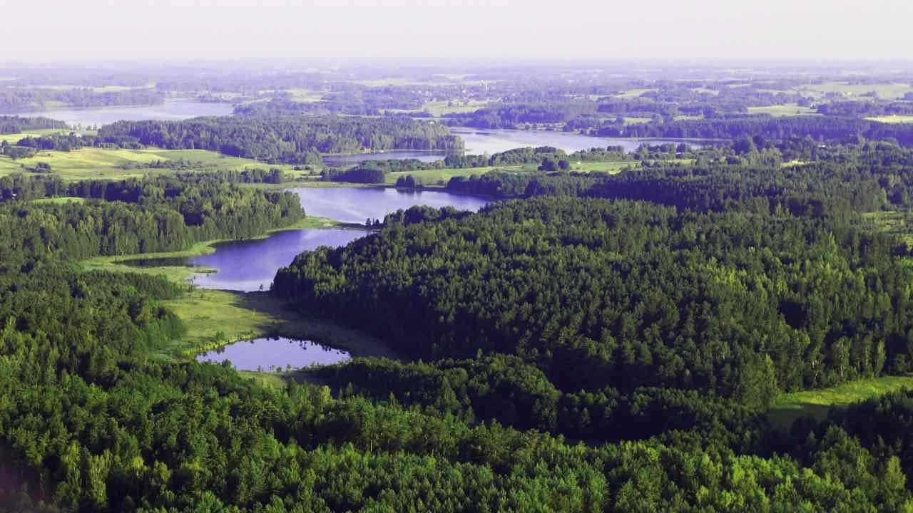 Foresta Paradiso in Lituania