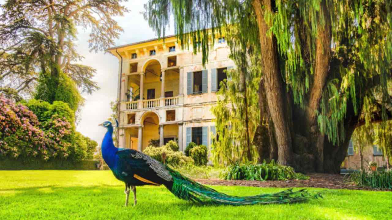 Il giardino più bello del mondo