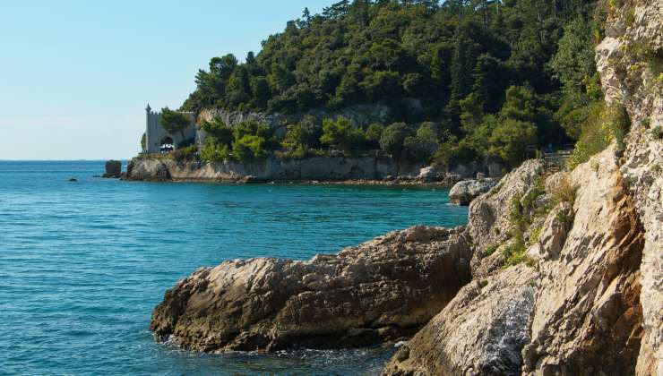Riserva naturale marina di Miramare, Golfo di Trieste
