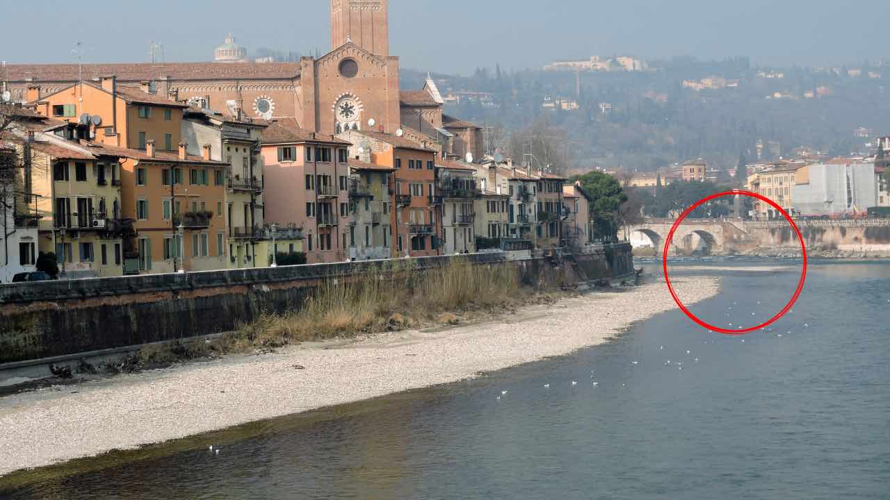 Scoperta anomala sul Fiume Adige