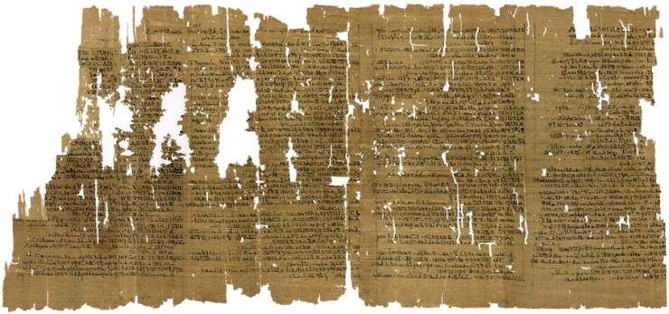 The Papyrus Carlsberg Collection 