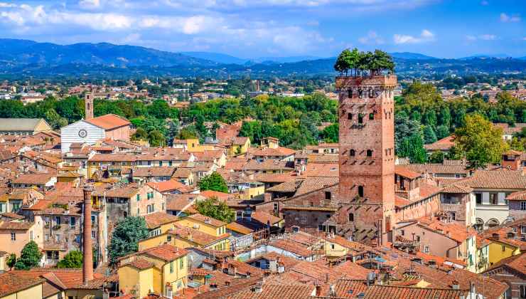 Vista sulla Torre Guinigi, Lucca
