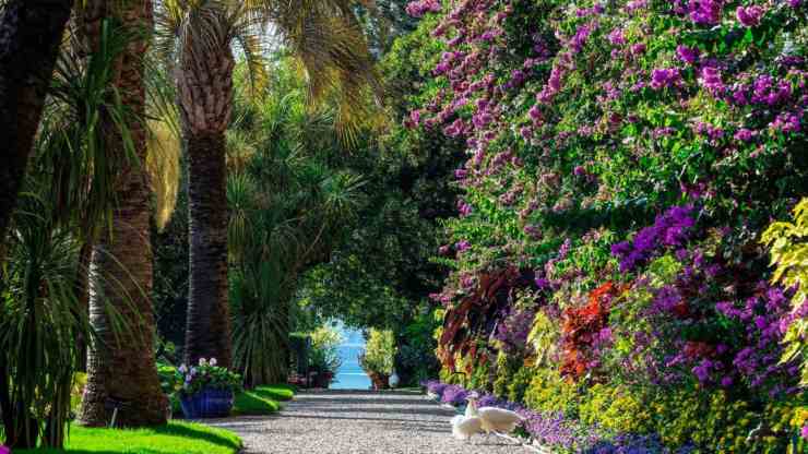 giardino-botanico-isola-madre