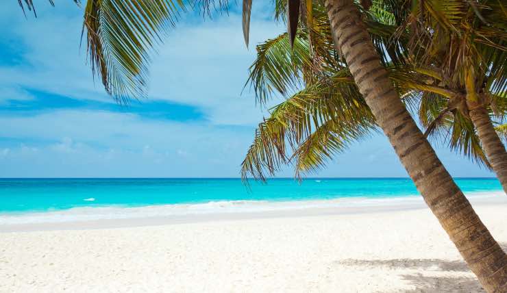 spiaggia Antille francesi
