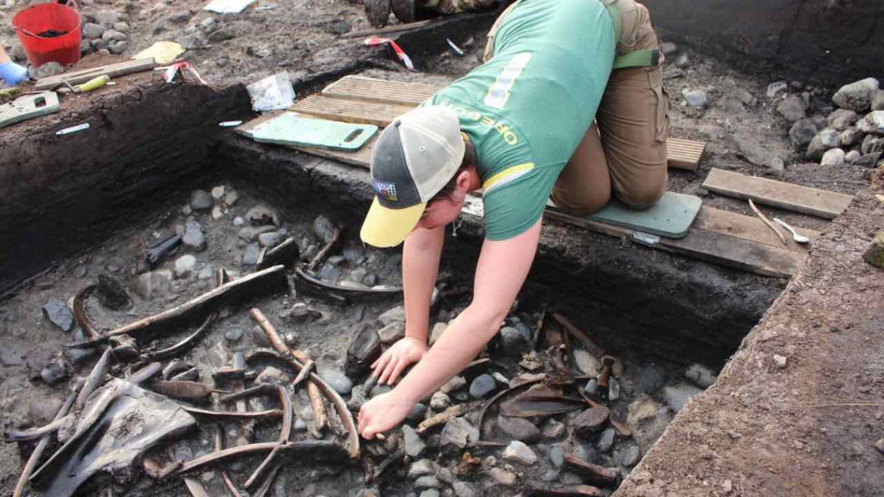 Erano nascosti in una discarica