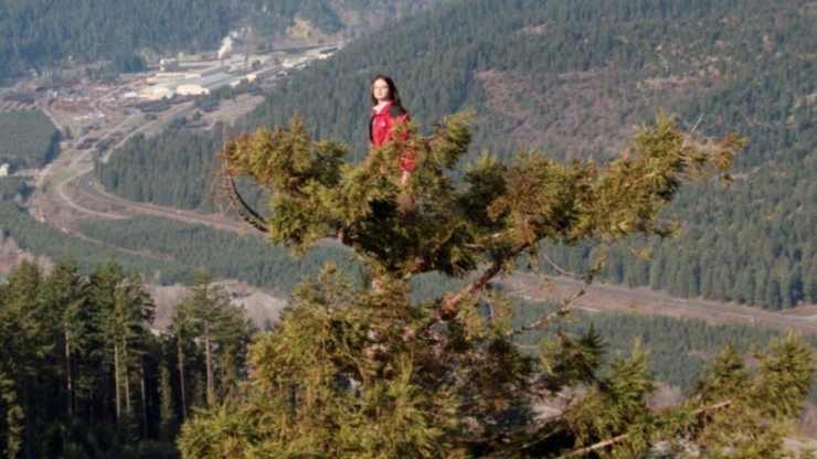 La donna che ha vissuto su una sequoia gigante