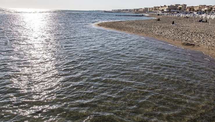 Il mostro marino ritrovato su una spiaggia romana