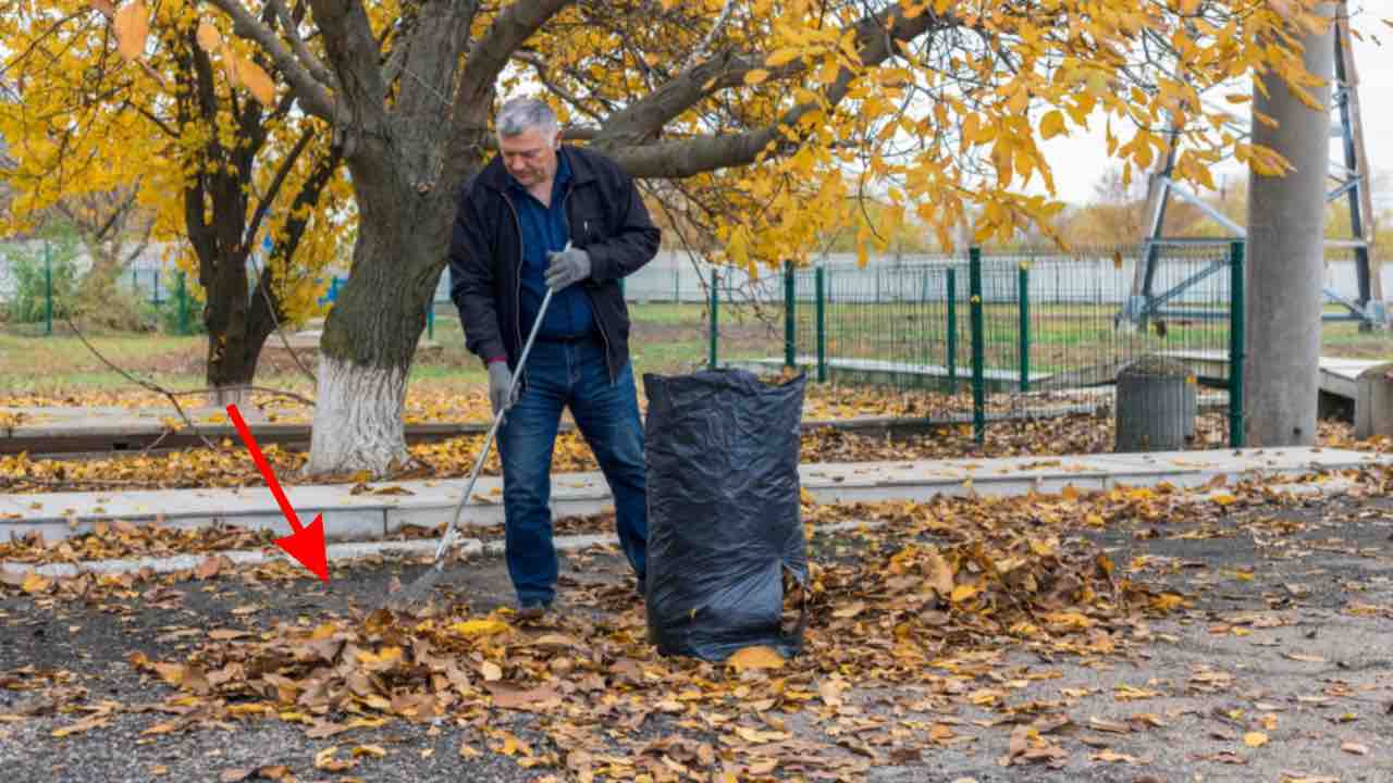 Uomo che spazza foglie