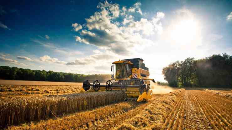 agricoltura-nelle-marche