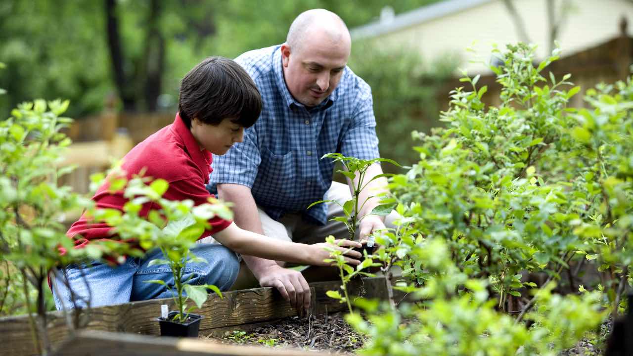 bambino e padre trovano tesoro