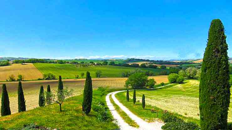 campagna-marchigiana