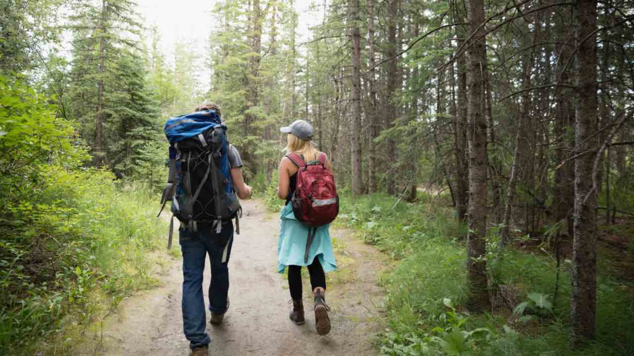 coppia cammina in un bosco