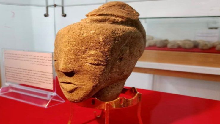 Contadino trova un reperto risalente a 4.500 anni fa