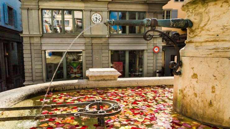 fontane in fiore di Zurigo