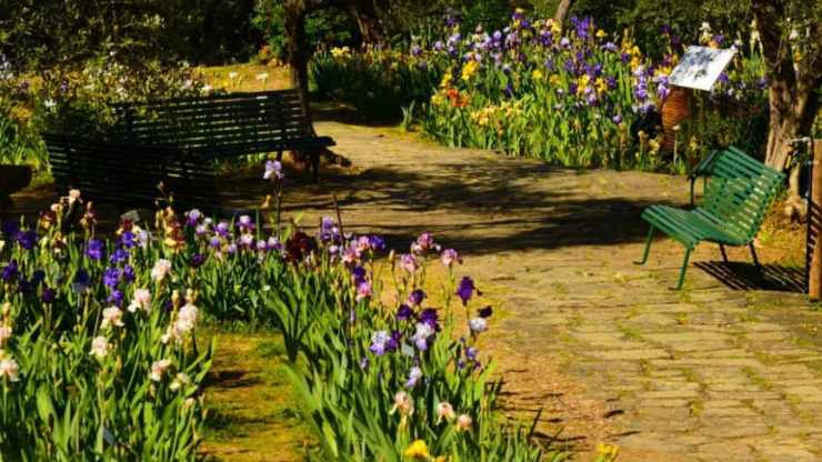 giardino dell’Iris