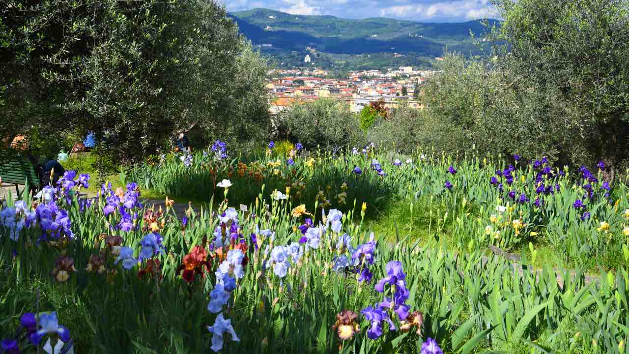 giardino delliris a Firenze