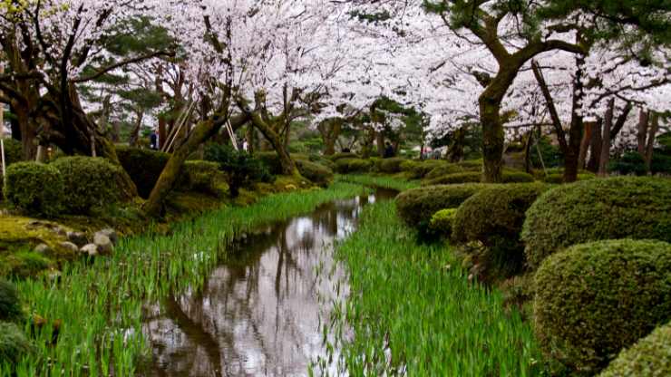 giardino più bello del Giappone
