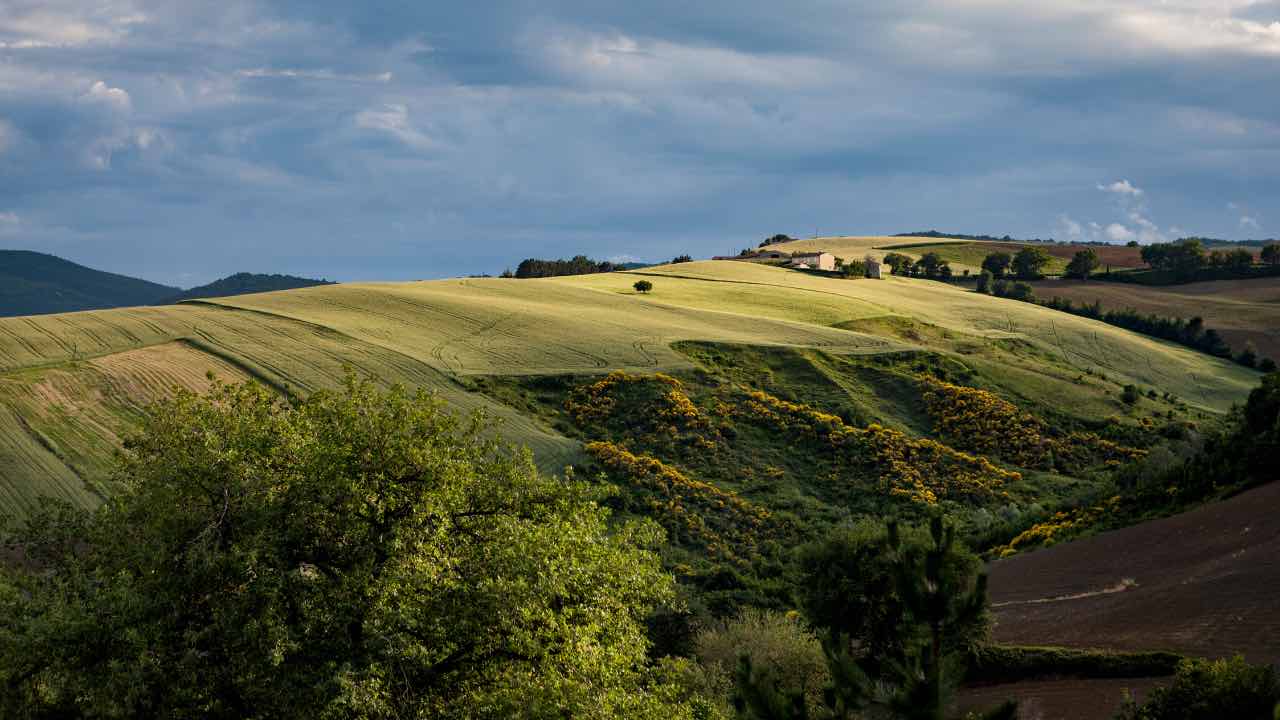 maggior forza lavoro in agricoltura