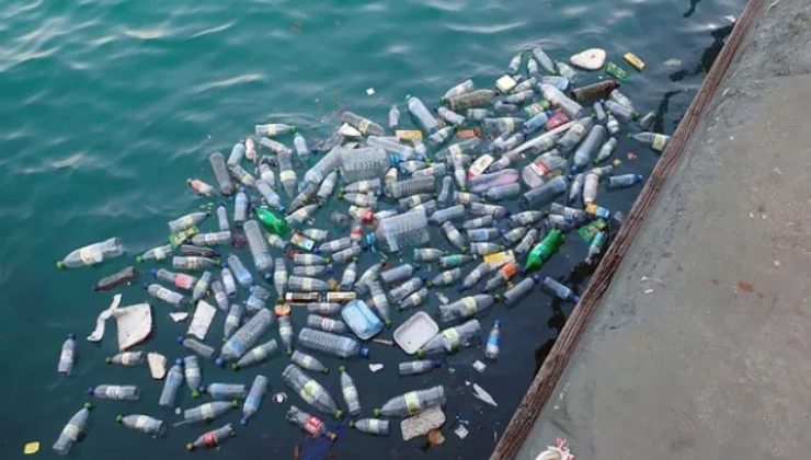 Mediterraneo: ecco quante bottigliette vengono gettate al giorno