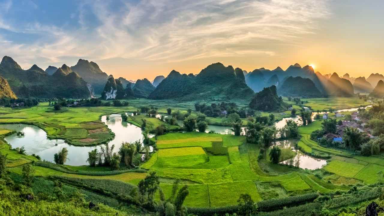 risaie Vietnam