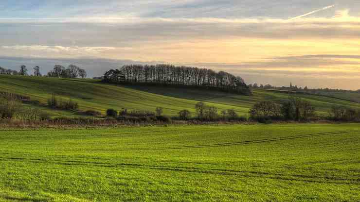 scoperta-durante-una-passeggiata-in-campagna