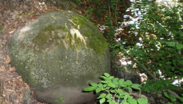Una scoperta preziosa nella foresta bosniaca incuriosisce gli studiosi