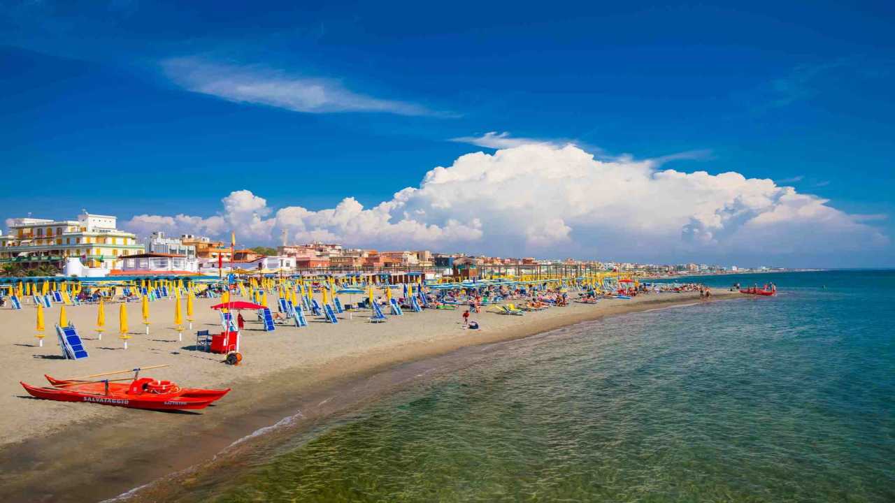 Ostia torna la medusa velella velella