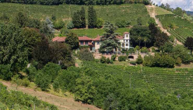 Cesanese del Piglio, la strada del vino