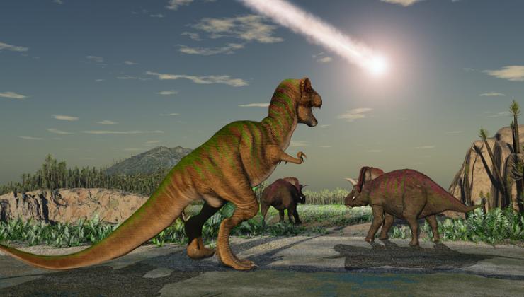Ritrovato esemplare di 150 milioni di anni fa