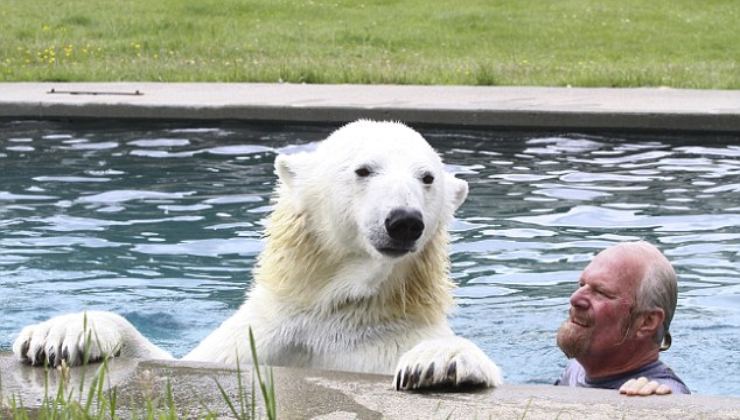 Vive da anni con un orso polare. Quello che accade commuove tutti quanti.