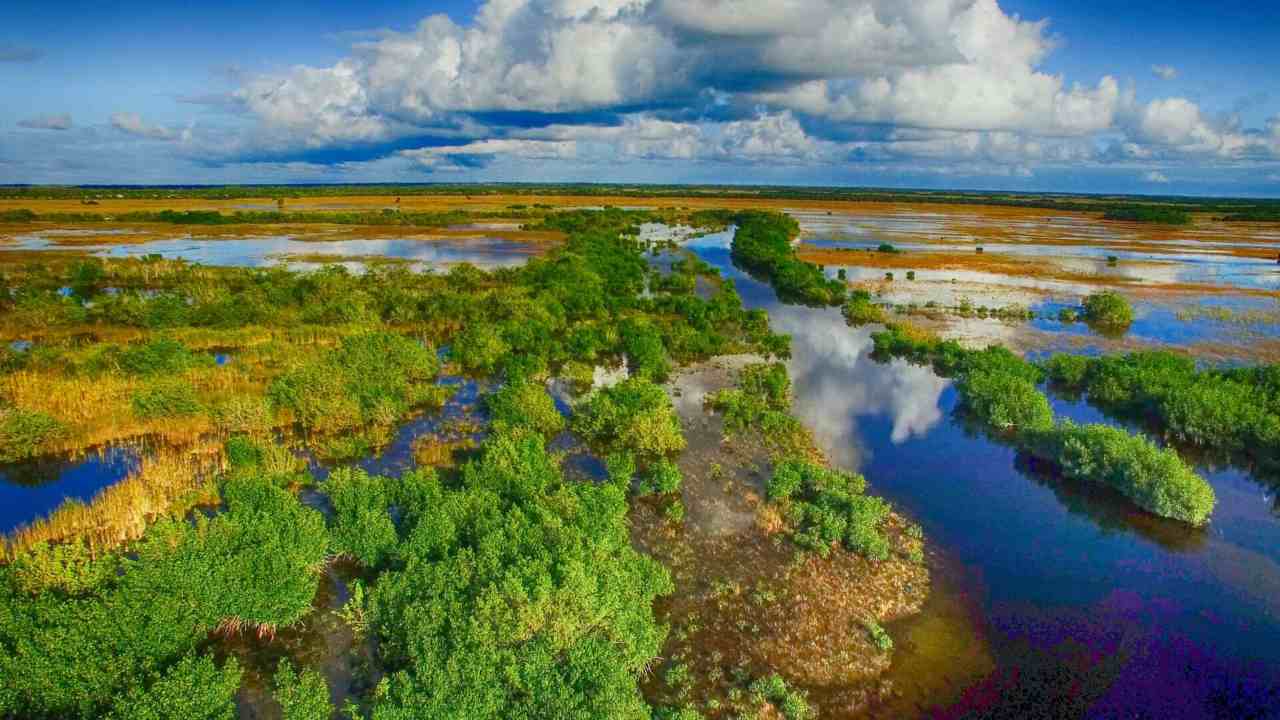 Parco Nazionale delle Everglades