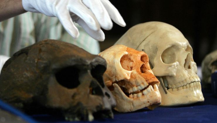 Scoperta sorprendente dell'Homo floresiensis 