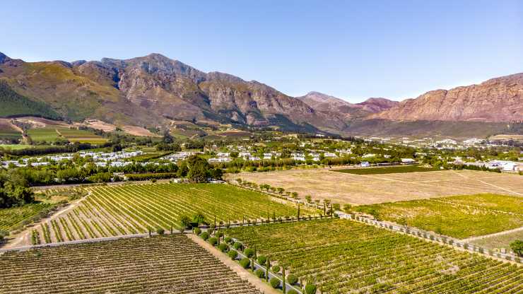 Stellenbosch Wine Routes