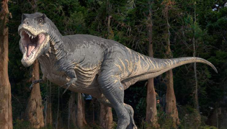 T-Rex Sue, tra le scoperte più interessanti 