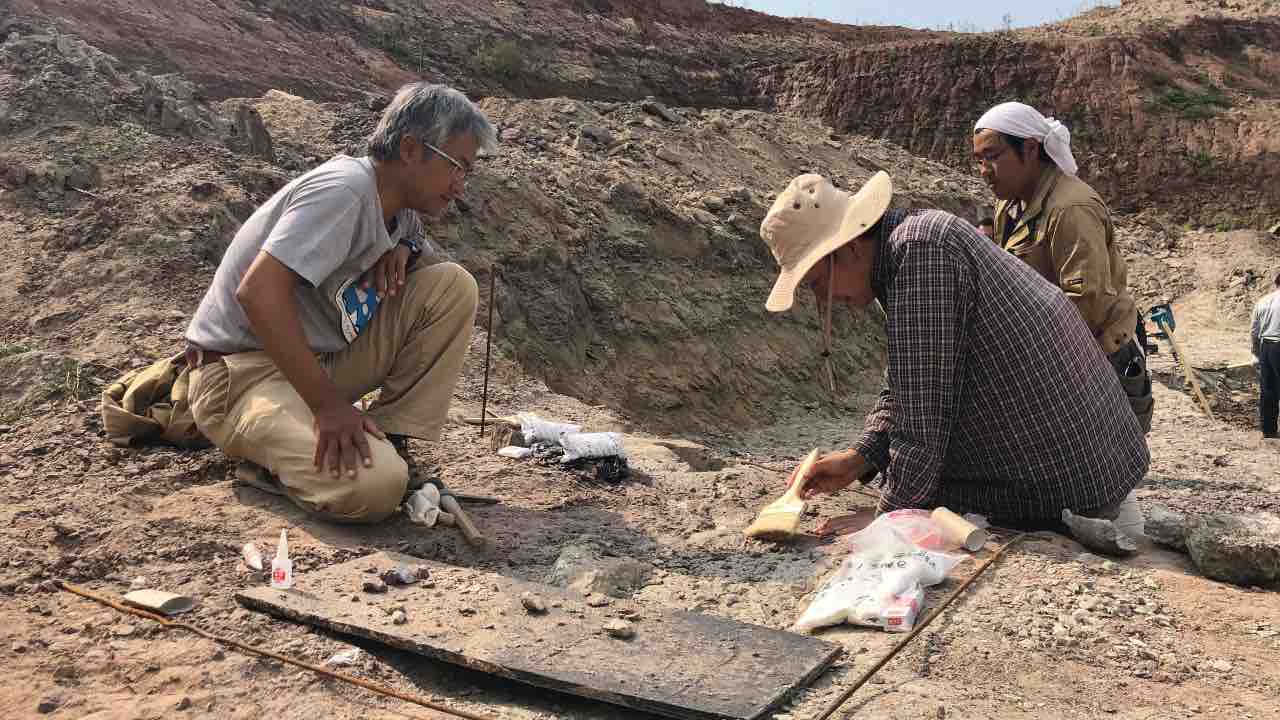 Trovano reperti di 67 milioni di anni fa