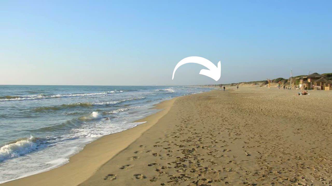 avvistati sulla spiaggia prima volta