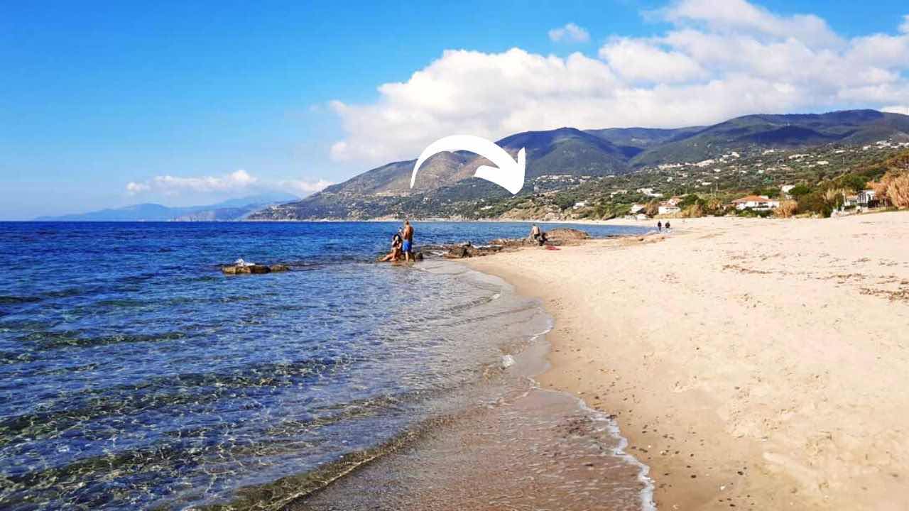 avvistato su una spiaggia italiana