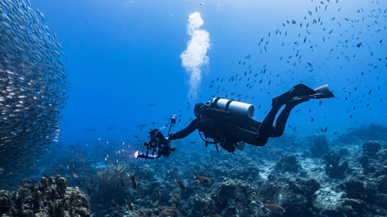 brutto ritrovamento in fondo oceano